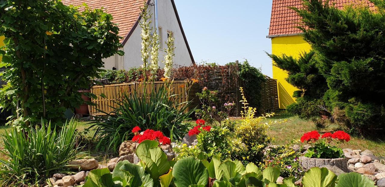 Ferienwohnungen "Zur Schamper Muehle" Gotthun Exterior photo